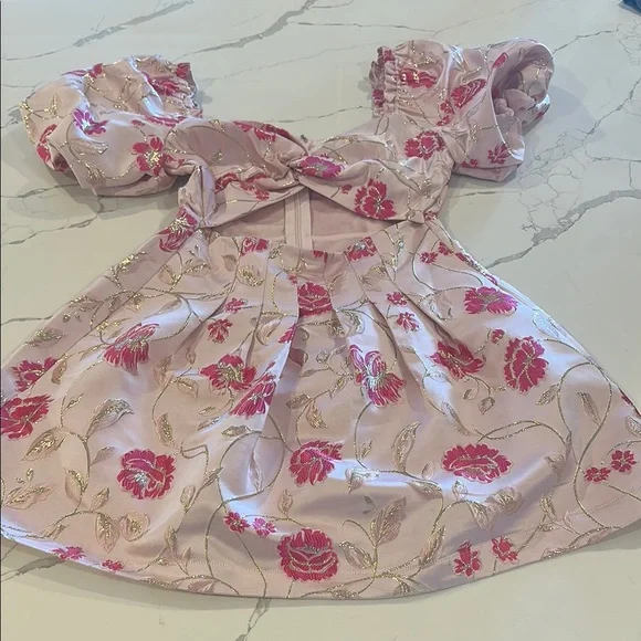 Vici Pink Bubble Mini Dress Marie Anne Floral Puff Sleeve - Picture 5 of 13